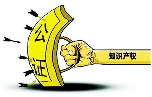 證據(jù)固定不再愁，天津公證解煩憂——技術推廣服務助力企業(yè)創(chuàng)新發(fā)展