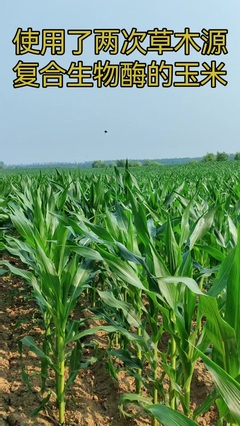 Al酶Al美技術(shù)推廣服務(wù) 引領(lǐng)美容科技新未來(lái)